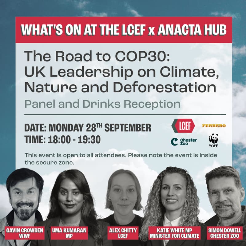 Cover Image for The Road to COP30: UK Leadership on Climate, Nature and Deforestation