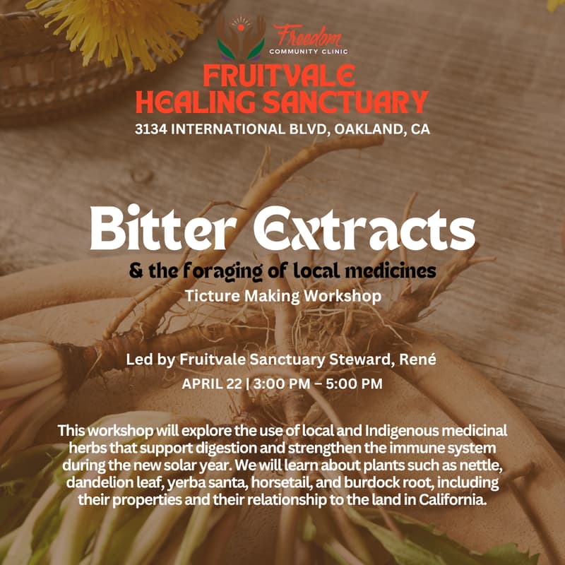 Cover Image for Bitter Extracts: and the foraging of local medicines