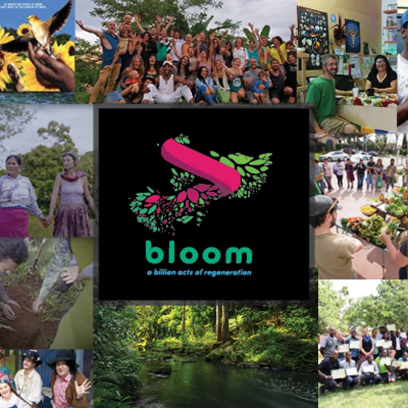 Cover Image for Bloom Network Quarterly Community Call