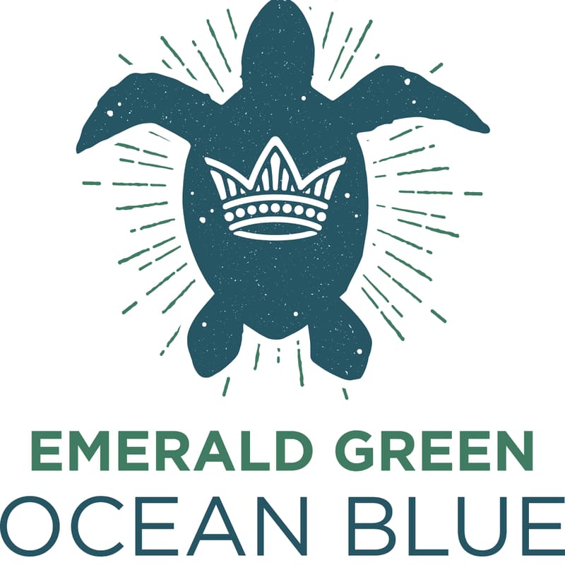 Cover Image for Coronado Beach Cleanup with Emerald Keepers