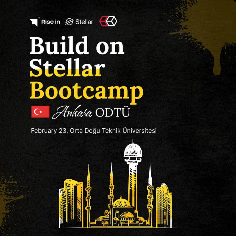 Cover Image for Build on Stellar - Rise In x OBT