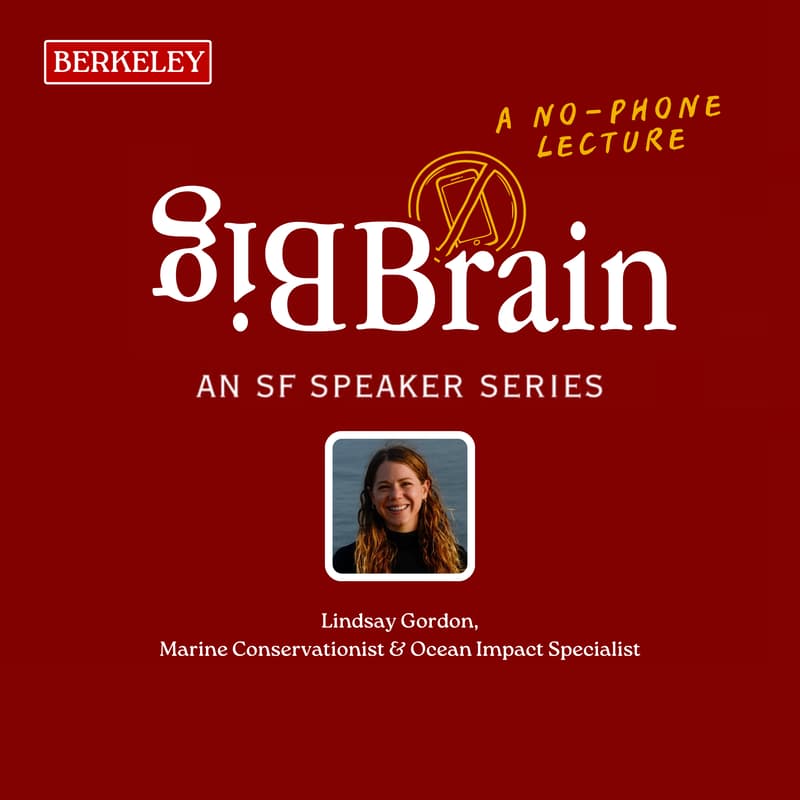 Cover Image for Beneath the Surface: What’s Really Happening in Our Oceans