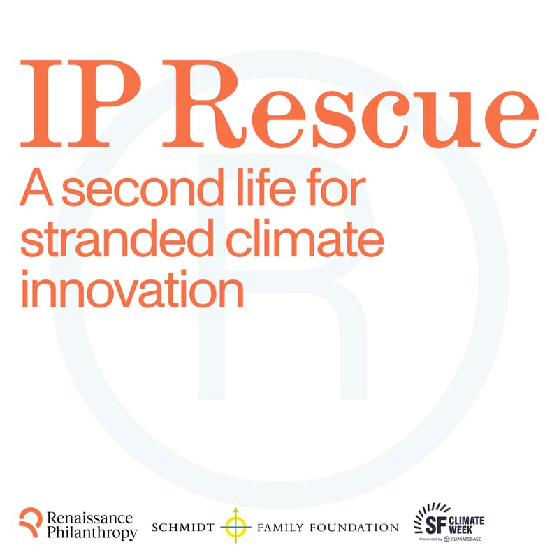 Cover Image for IP Rescue: A Second Life for Stranded Climate Innovation