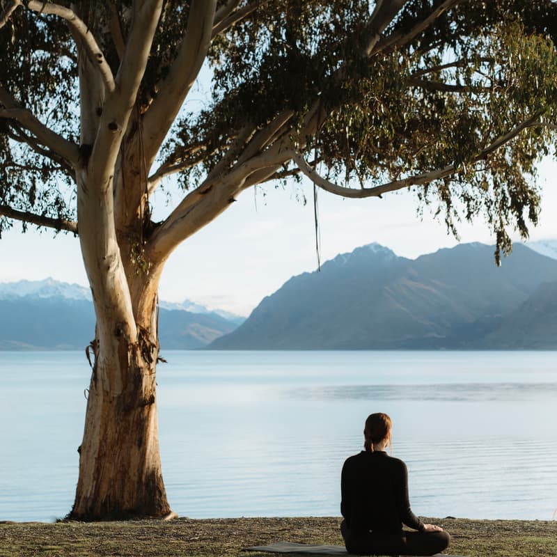 Cover Image for TUESDAY NIGHT YOGA