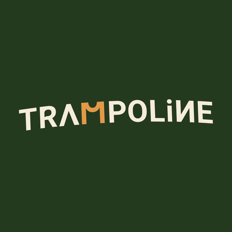 Cover Image for Offline With The Trampoline Club