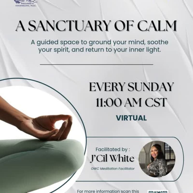 Cover Image for The Meditation Club