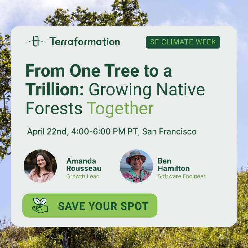 Cover Image for From One Tree to a Trillion: Growing Native Forests Together | Terraformation