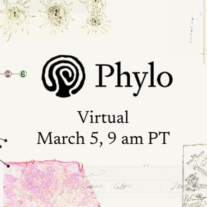 Cover Image for Phylo Launch @ Virtual
