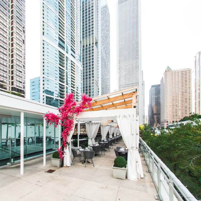 Cover Image for Ice Artist @ Rooftop Happy Hour, Hosted by a16z & Ambience Healthcare