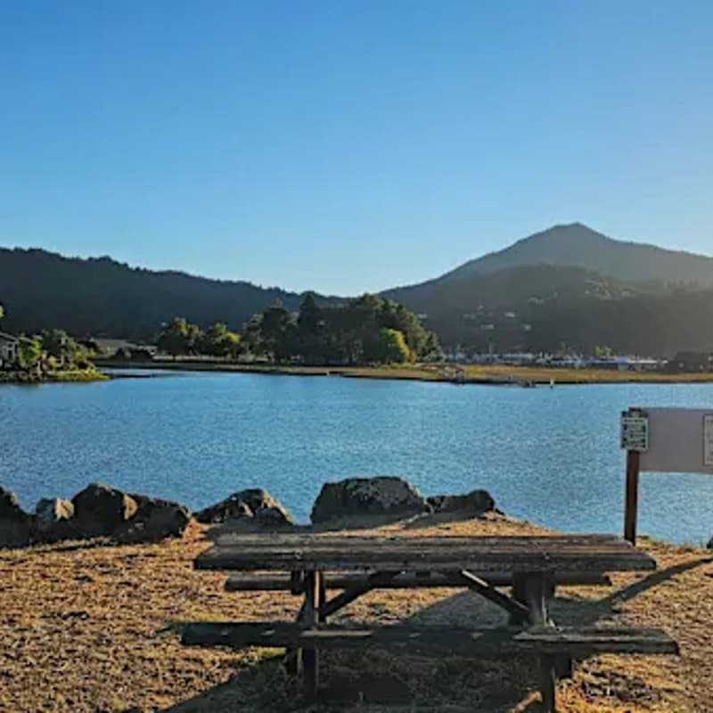 Cover Image for Marin Idealist Meet-up