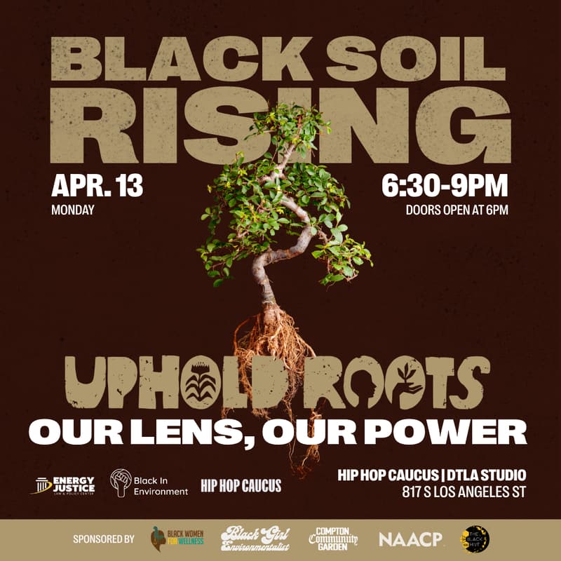Cover Image for Our Lens, Our Power: Black Soil Rising Screening & EcoVibe Mixer