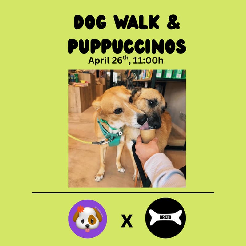 Cover Image for City Dogs x Breto: Dog Walk & Puppuccinos