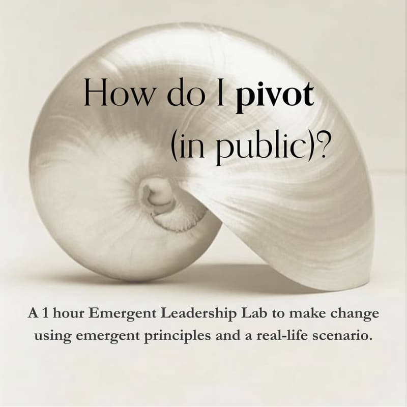 Cover Image for CREATRIX Emergent Leadership Lab | How do I pivot (in public)?