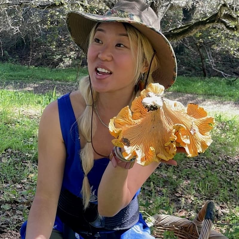 Cover Image for Foraging in Oakland: Herb and Mushroom Talk & Tea Tasting, Vol 2