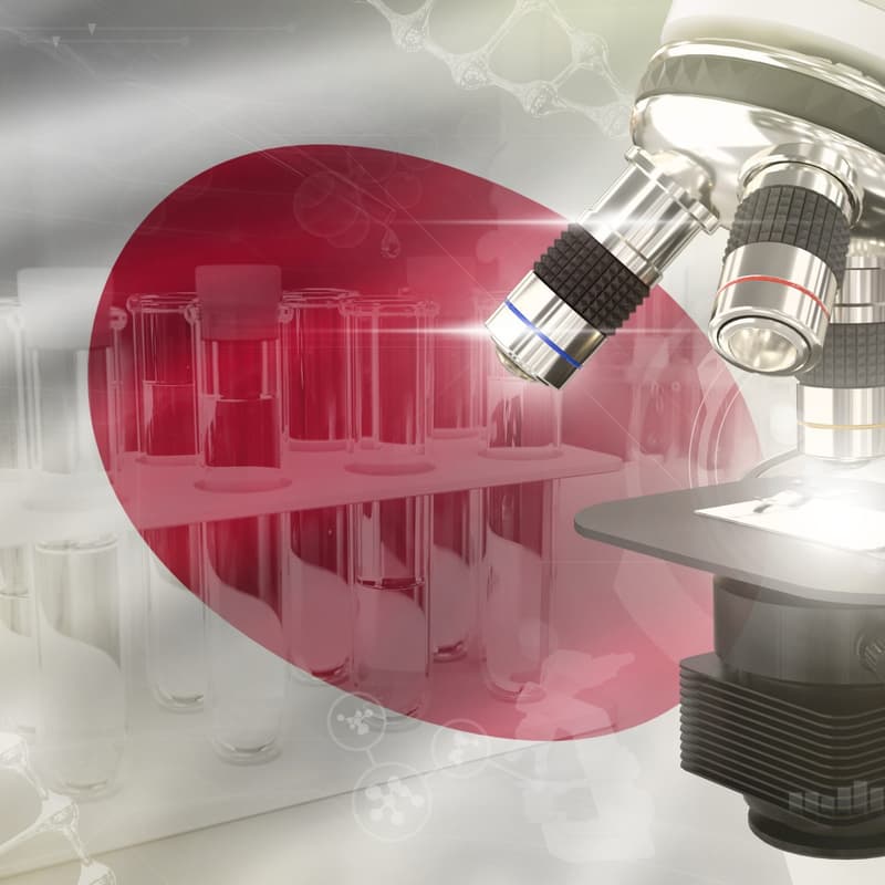 Cover Image for Japan for Busy People