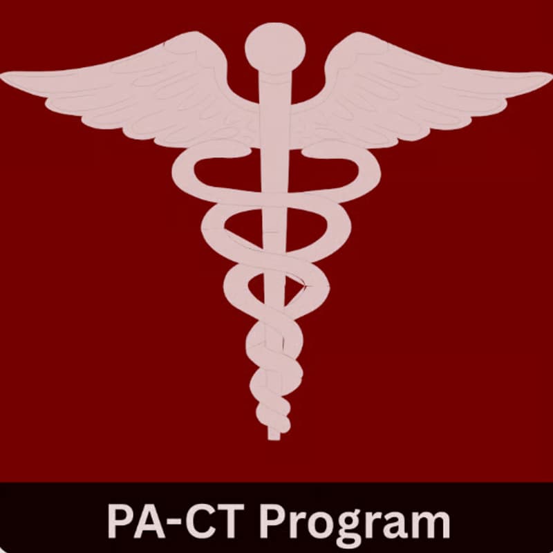 Cover Image for Jeopardy with the PA Students!