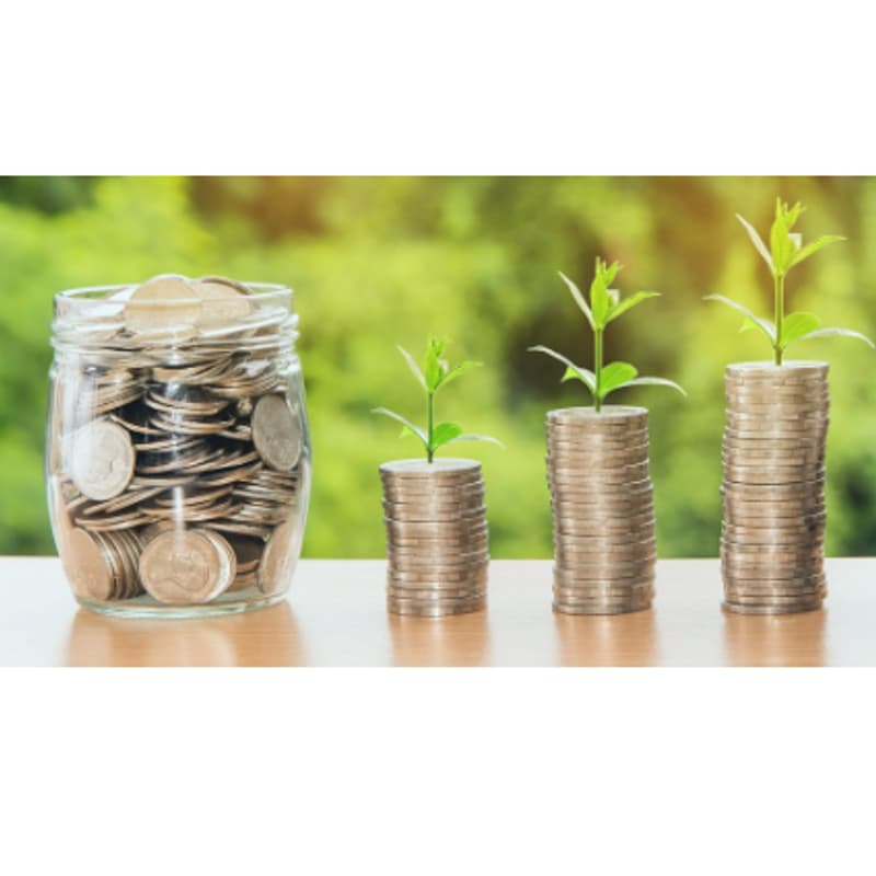 Cover Image for Webinar: Angel 202 - Investment Instruments and Company Valuations