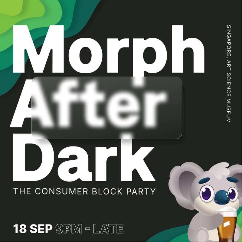 Cover Image for Morph After Dark — The Consumer Block Party