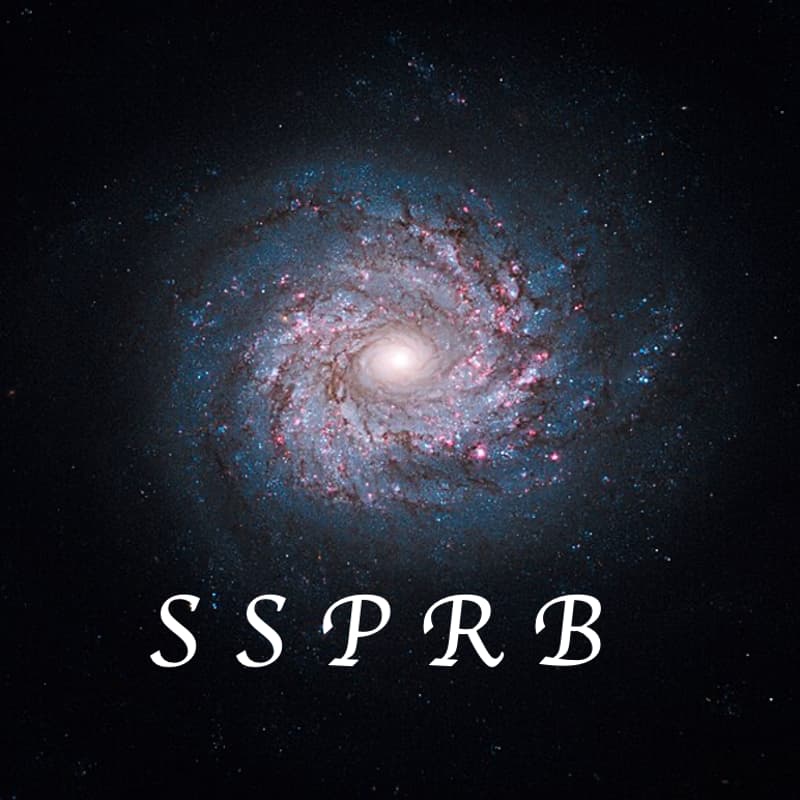 Cover Image for 2026 Virtual Symposium of the Society for the Study of Pregnancy and Birth (SSPRB)