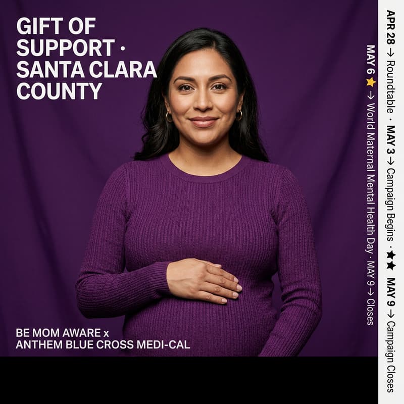 Cover Image for World Maternal Mental Health Day: Gift of Support Educational Media Campaign for Santa Clara County.