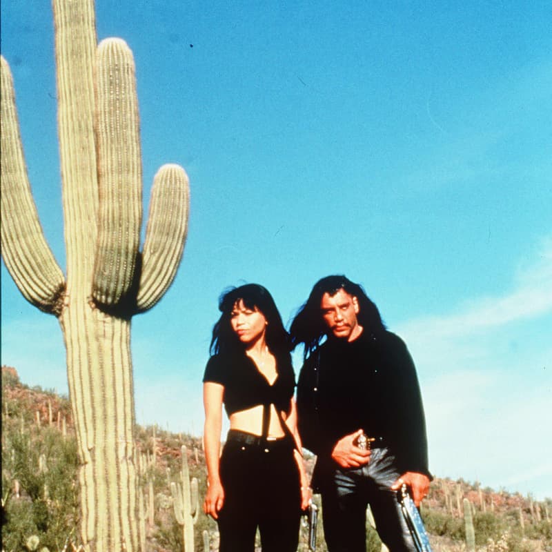 Cover Image for PERDITA DURANGO (1997)