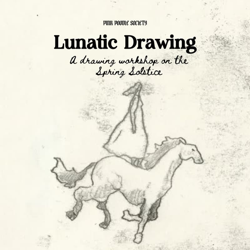 Cover Image for Amsterdam | Lunatic Drawing: Spring Solstice, an intuitive drawing workshop by Weronika Marianna