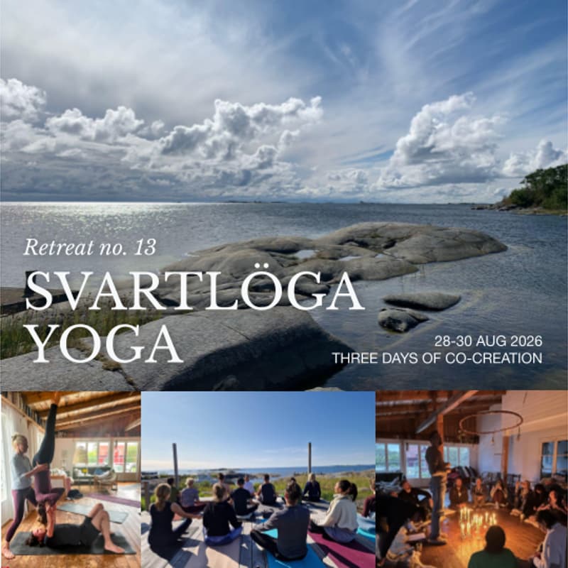 Cover Image for Svartlöga Yoga Retreat #13 - From Ancient to Modern Yoga