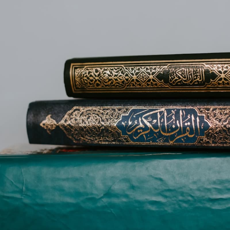 Cover Image for “Rights of the Creation”  Brothers Halaqa with Sheikh Muzammil