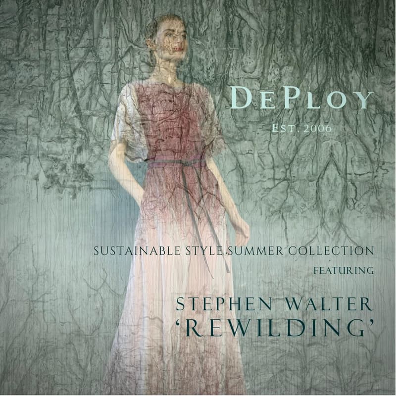 Cover Image for The Art of Rewilding Series: Summer Edition (ft. Stephen Walter)