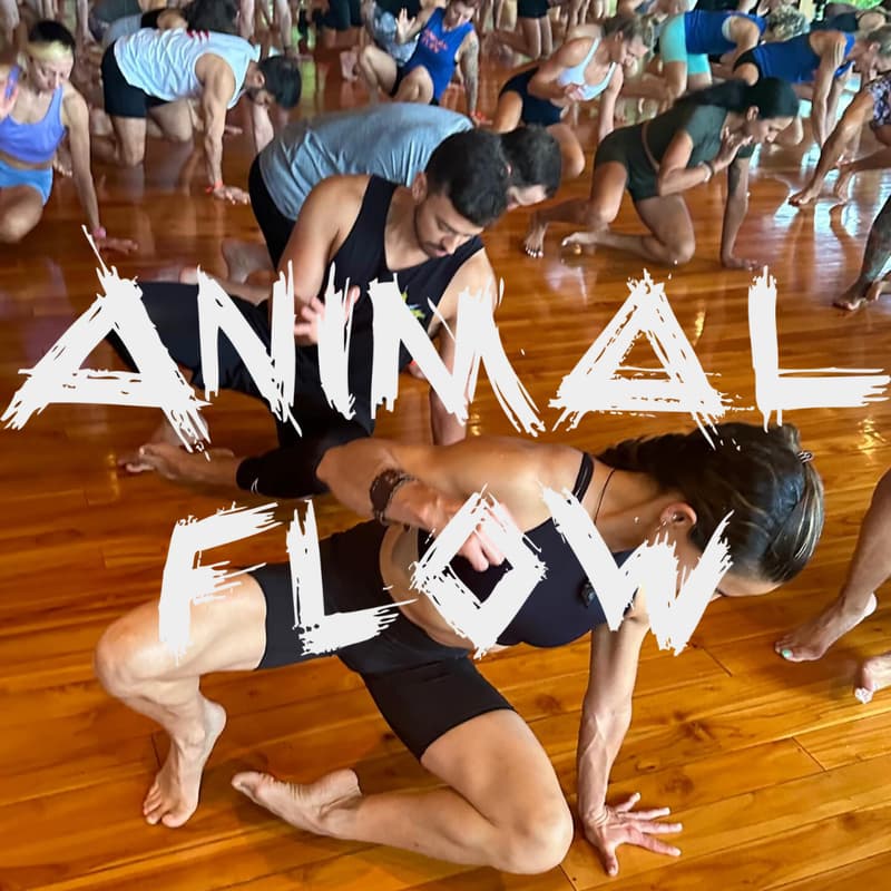 Cover Image for ANIMAL FLOW: Unleash Your Primal Power