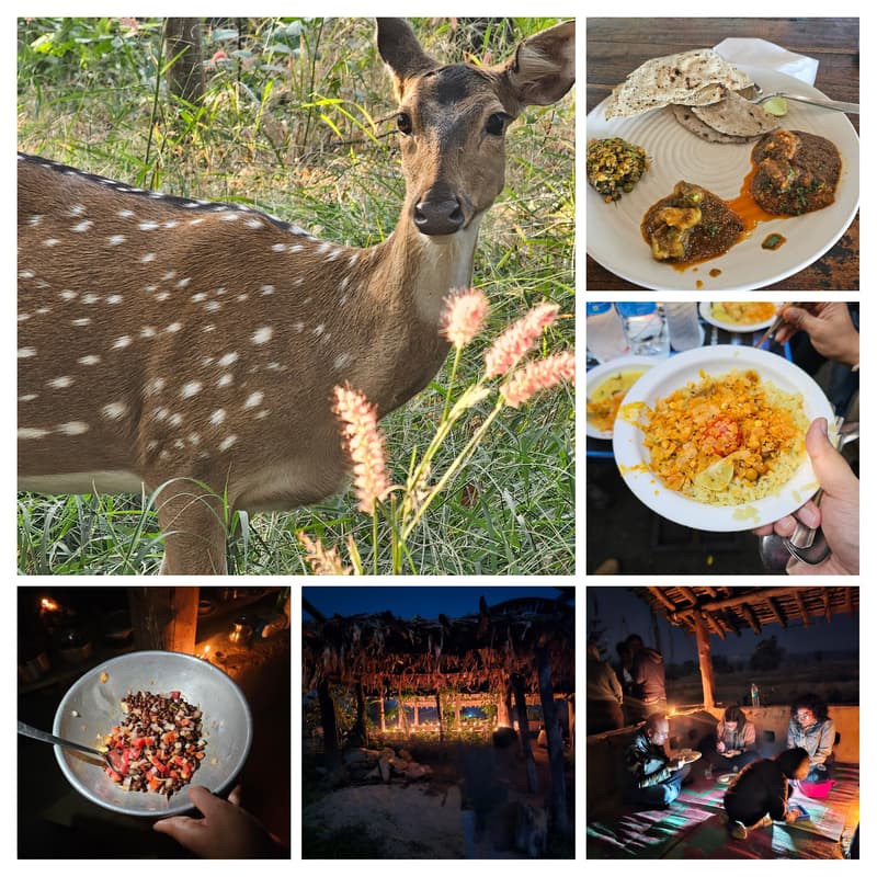 Cover Image for Yummy Yatra - Pench (Safari + Culinary Trip)