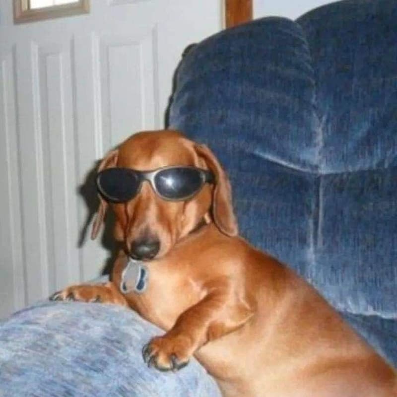 Cover Image for Sweaty Hour: Dawg Days of Summer
