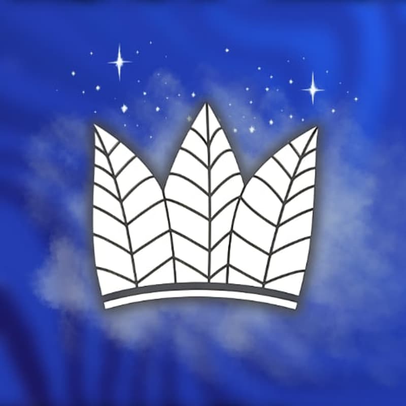 Cover Image for Łódź Jungle Web