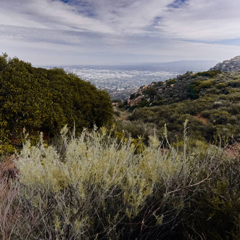Cover Image for Hike Santa Susan Pass with NPCA
