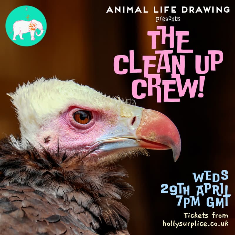 Cover Image for Clean Up Crew!