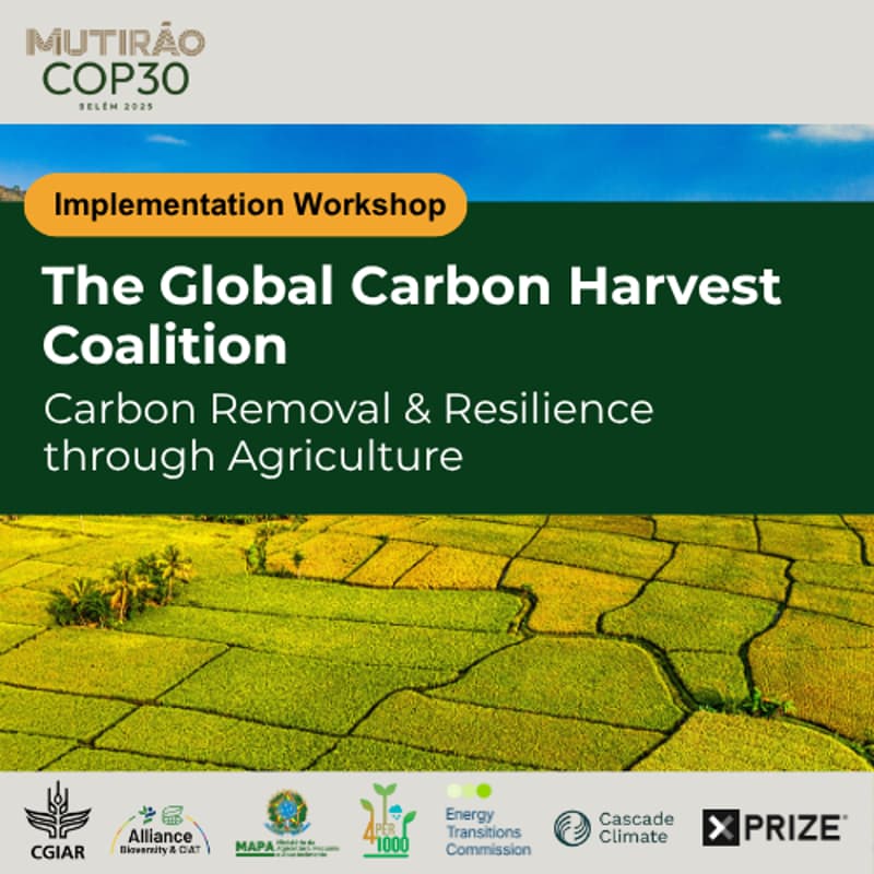 Cover Image for Implementation Workshop: The Global Carbon Harvest Alliance