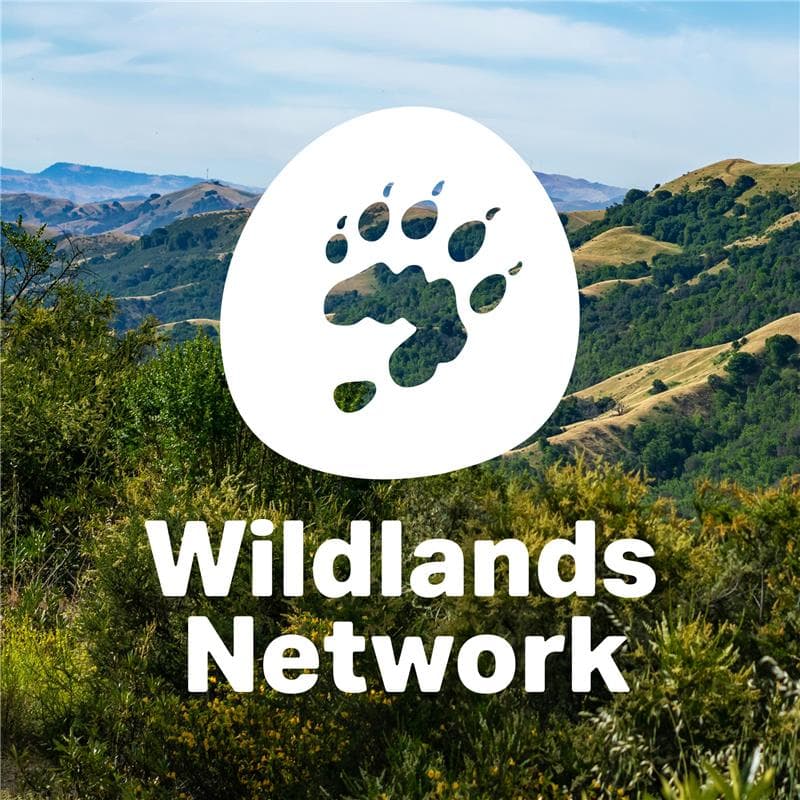 Cover Image for Path of the Puma: A Hike Through the East Bay Wildlife Corridor