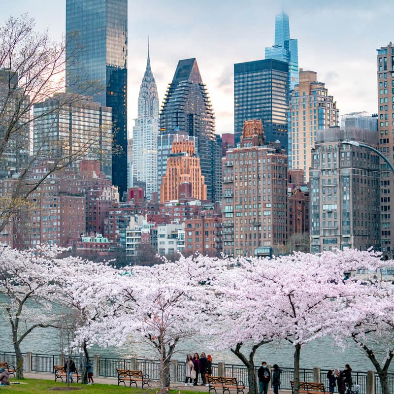 Cover Image for El arte florece en Nueva York: Primavera 2026