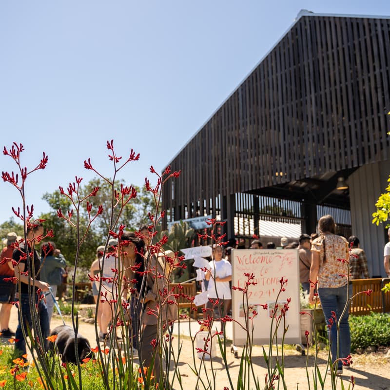 Cover Image for Earthtones Festival