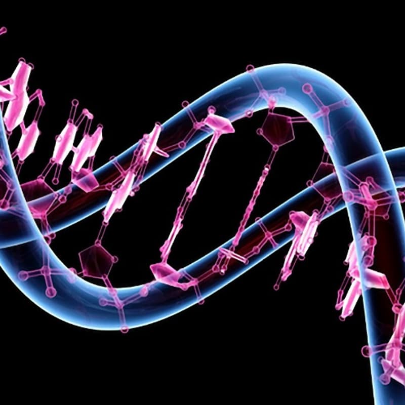 Cover Image for Genetics & Social Justice: Rawls didn't know about Polygenic Indices