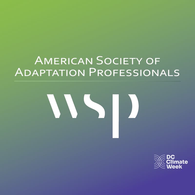 Cover Image for Sustaining Resilience Efforts Through Collaboration in The Face Of Change