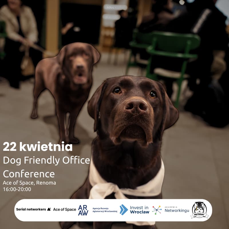 Cover Image for Dog Friendly Office Conference Wrocław