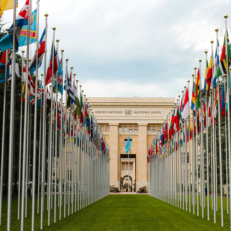 Cover Image for Development Discussions - Governments & Institutions