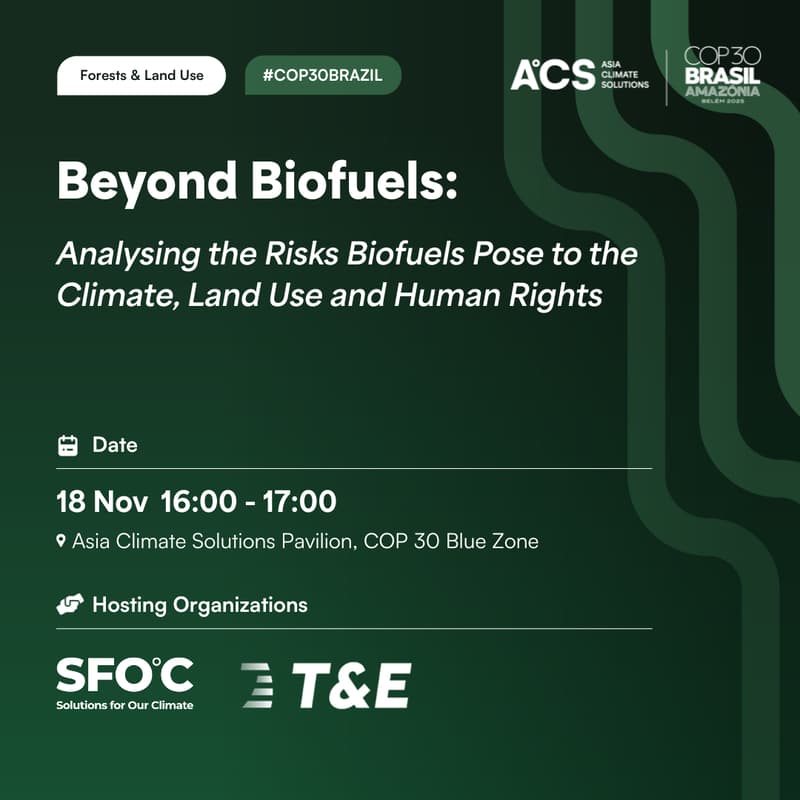 Cover Image for Beyond Biofuels: Analysing the Risks Biofuels Pose to the Climate, Land Use and Human Rights