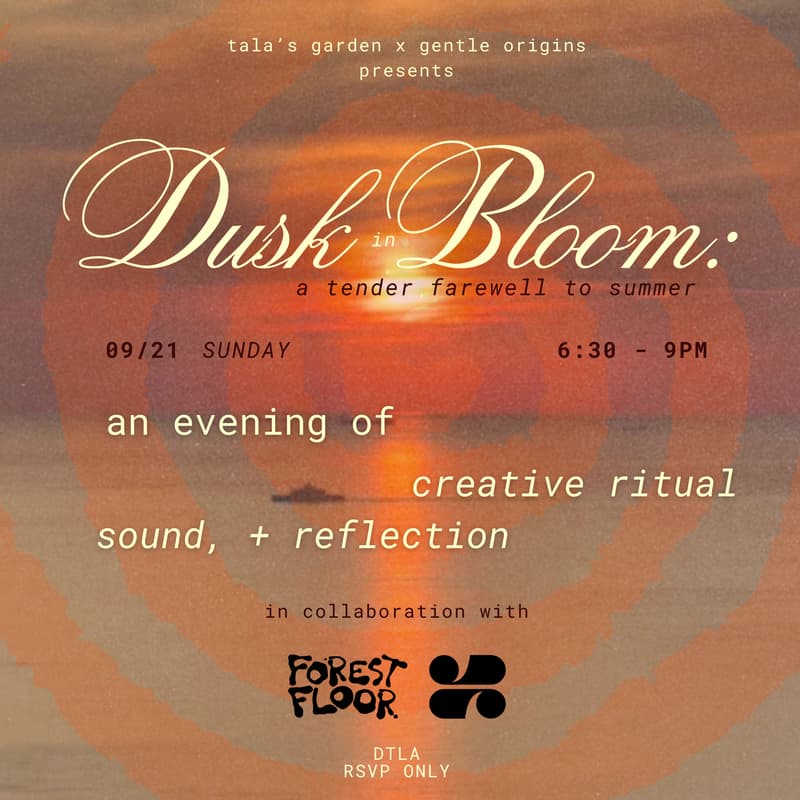 Cover Image for Dusk in Bloom
