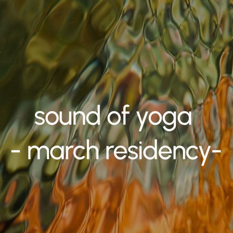 Cover Image for sound of yoga with the bala boys