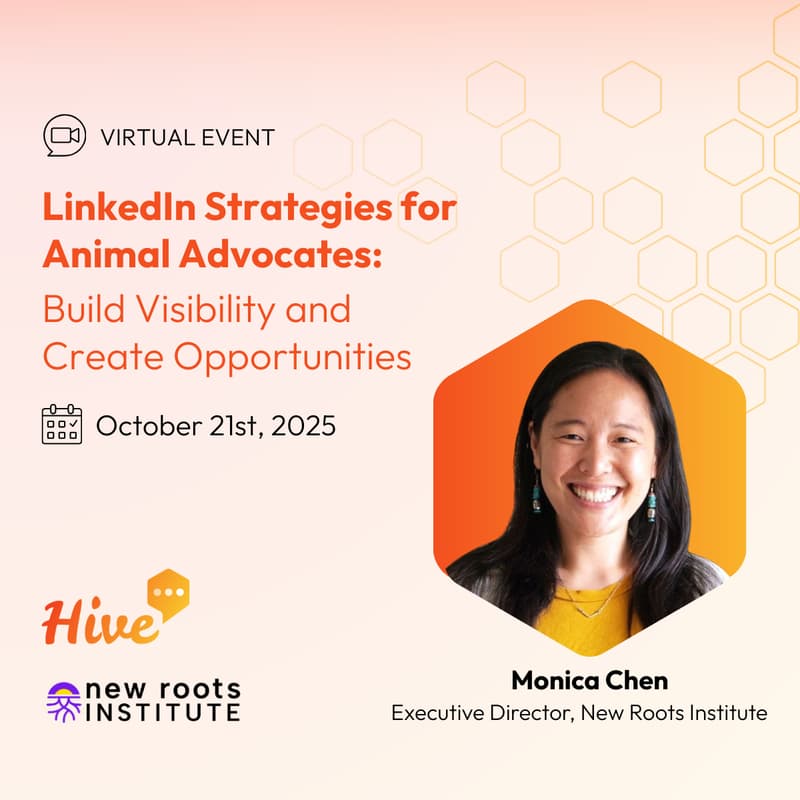 Cover Image for LinkedIn Strategies for Animal Advocates: Build Visibility and Create Opportunities