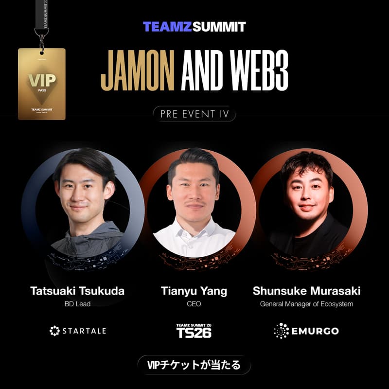 Cover Image for TEAMZ SUMMIT. Pre Event No4