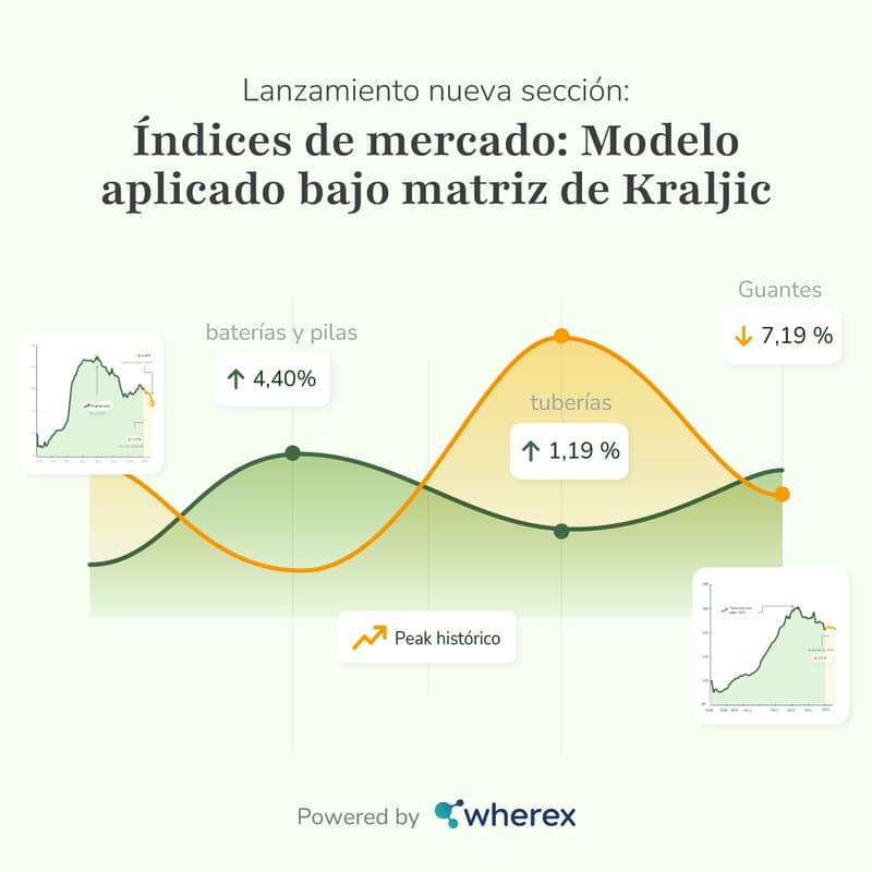 Cover Image for Lanzamiento de Índices de mercado: Modelo aplicado bajo la matriz de Kraljic