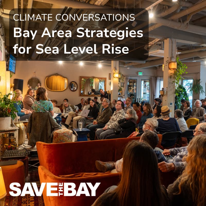 Cover Image for Climate Conversations: Bay Area Strategies for Sea Level Rise